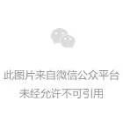 依木蘭波爾蒂芒傳聞細節曝光 王鈺棟留洋再添變數