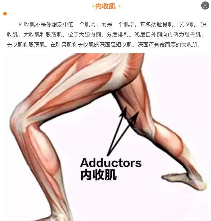 馬刺官方更新哈珀傷情：右側內收肌酸痛 G3出戰成疑