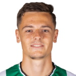 特揚赫